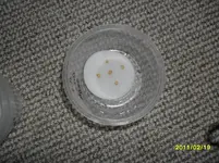 SAM_0271.webp
