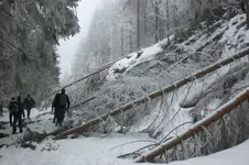 Schneekopf 02 2011 021.webp