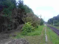 1DSC01608.webp