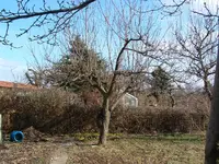 DSCF0011.webp