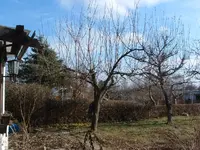 DSCF0012.webp