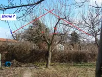 DSCF0011.webp