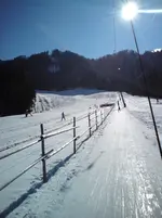 DSC01952.webp