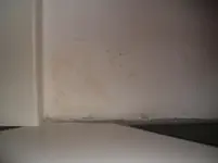 DSCF4457.webp