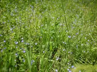 P1030461.webp