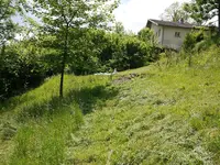 P1030475.webp