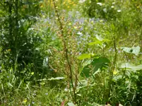 P1030480.webp