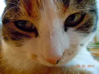 011.webp