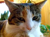 012.webp