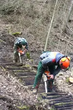 Jagdhütte (2).webp