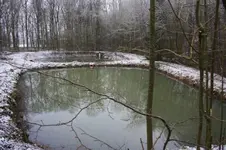 Jagdhütte (3).webp