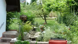 Garten-Sommer 2010 044.webp