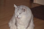 IMG_0964.jpg