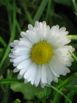 20050525_026.webp