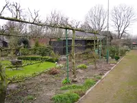 IMG_1140.webp