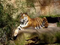 DSC06150ret.webp