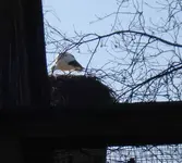 DSC06217ret.webp