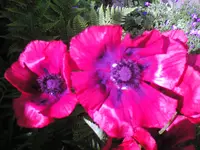 restbilder 002.webp