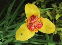 Copy of Februar 2011 317v.webp