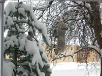 (232).webp