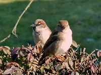 079.webp