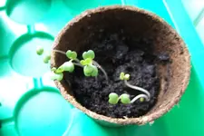 DSCF1740.webp