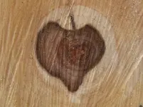 Herz_am_Apfelbaum.webp
