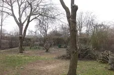 Holzhaufen.webp