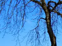 023.webp