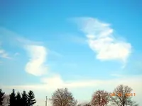 034.webp