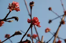 DSC_7759.webp