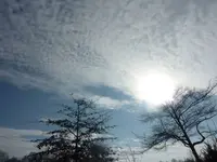 P1070100.webp