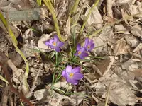 P1070101.webp