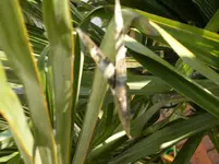 DSCN3850.webp