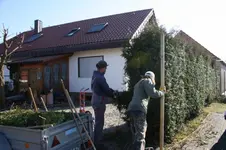 26.02 (12) hecken schneiden.webp