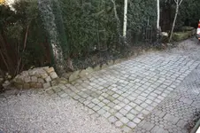 26.02 die müssen raus!.webp