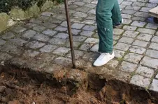 26.02 (19) Fleißige Tochter.webp