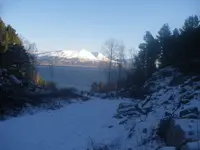IMGP5414.webp