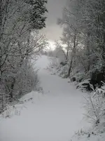 IMGP5288.webp