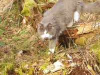 IMGP5620.webp
