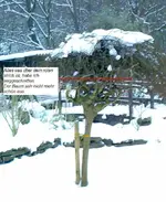Kopie von 07012009572.webp
