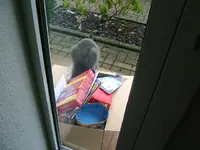 DSCF4957.webp