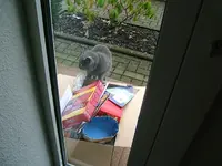 DSCF4958.webp