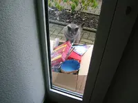 DSCF4959.webp
