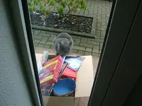 DSCF4961.webp