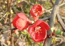 DSCN0570.webp