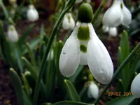WASSERTROPFEN2328.webp