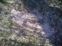 PIC00195.webp