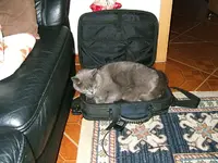 DSCF4965.webp