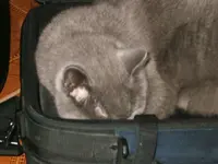 DSCF4964.webp